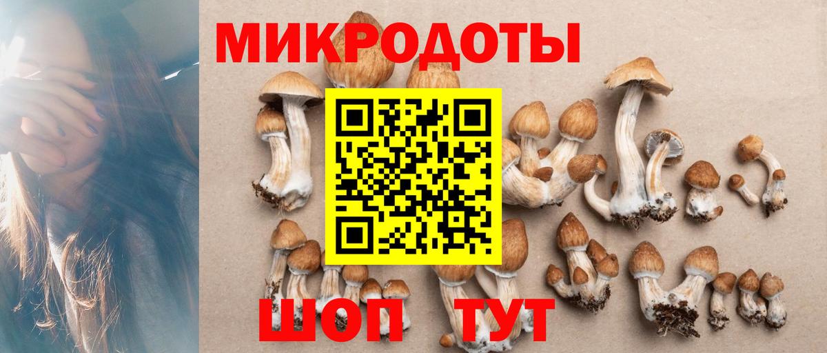Галлюциногенные грибы Psilocybe  Вход с VPN  Благовещенск  Псилоцибиновые грибы Psilocybe 